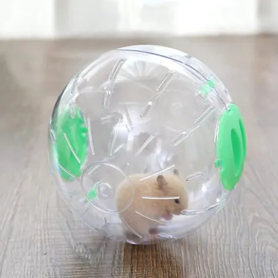 Produktbild von Gymnastikball Haustier Jogging Spielzeug Mini Ball Kleintier Aktivitätsball Trainingsball für Hamster und Mäuse Bewegungs-Rodentenspielzeug zum Gehen Plastik Grün