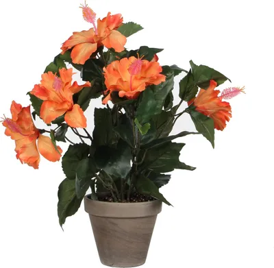 Zdjęcie produktu dla Mica Decorations Hibiskus sztuczna roślina w doniczce Stan - H40 x Ø30 cm - Pomarańczowy