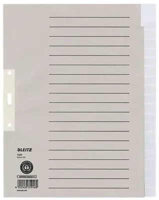 Zdjęcie produktu dla Leitz 12200085, Pusta zakładka, Papier, Szary, 100 g/m², 240 mm, 300 mm