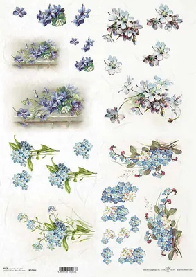 Zdjęcie produktu dla Papier ryżowy do decoupage A3 ITD-1036L fiołki, śniedki, niezapominajki