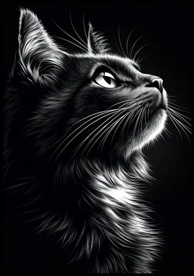 Produktbild von Plakat 70x100cm Tierporträt für das Wohnzimmer | Katze | Schwarz Weiß