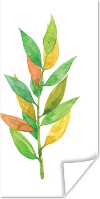 Produktbild von MuchoWow® Poster Aquarelle - Blätter - Pflanzen 60x120 cm - Wandschmuck