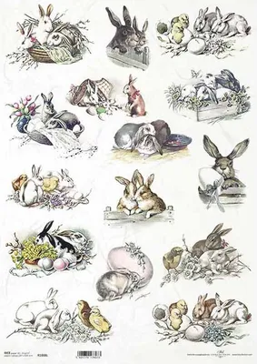 Immagine prodotto di ITD carta di riso per decoupage A3 Coniglietto di Pasqua 1008L