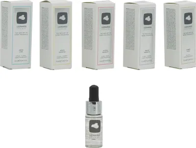 Produktbild von Leonardo Essenza Raumduft 10ml Duft Düfte Aroma Diffuser Duftöl Aromaöl f. Stein, Duft:Floral Bouquet