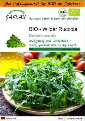 Produktbild von SAFLAX Garden in the bag - BIO - Wilder Ruccola - Diplotaxis tenuifolia - 1500 Samen - Mit Anzuchtsubstrat im praktischen, selbst aufstellenden Beutel
