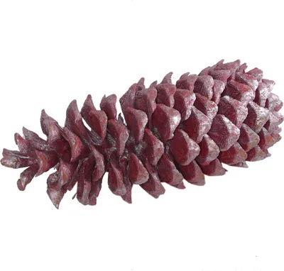 Produktbild von Tannenzapfen - Riesentannenzapfen - Metallic Rot/Silber - ca. 28 cm  - 1 Stück - 29999