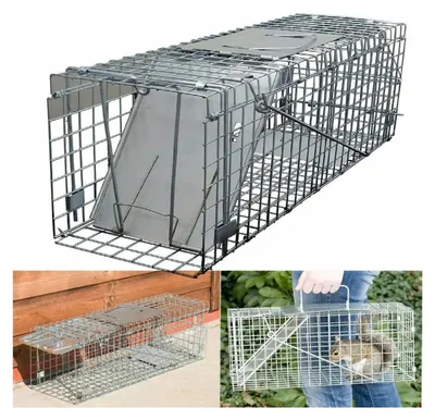 Produktbild von Lebendfalle für Tiere - Humane Mäuse-, Ratten- und Kaninchenfalle - Verzinktes Metall - 61 x 19 x 21 cm - 1 Stück