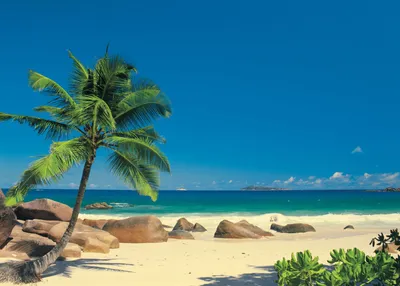 Produktbild von Komar Fototapete Seychellen Blau - 611058 - 270 x 194 cm
