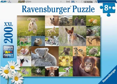 Produktbild von Süße Tierbabys Ravensburger 13353