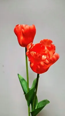 Produktbild von artplants.de Kunst Tulpe PJASSINA, orange, 65cm - Künstliche Tulpe