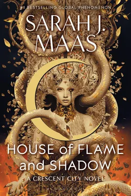 Produktbild von House of Flame and Shadow