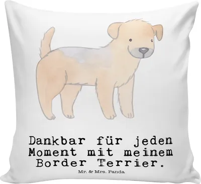 Produktbild von Mr. & Mrs. Panda Kissen 40x40 Border Terrier Moment - Weiß - Geschenk, Sofakissen, kuschelkissen, Deko, Dekokissen, für sofa