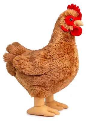 Obrázek produktu pro Plyšová slepice - Realistický plyšák - Hospodářské zvíře - 30 cm - Dárek pro děti