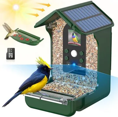 Image de Caméra solaire automatique pour oiseaux avec 32 Go de mémoire, étanche, capteur de mouvement PIR