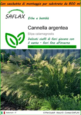 Immagine prodotto di SAFLAX Garden in the bag - Cannella argentea - 50 semi - Stipa
