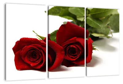 Produktbild von Visario Leinwandbild Rote Rosen 160x90 cm – Bild Wandbild Kunstdruck, aufhängfertig, Echtholzrahmen, Zackenaufhänger, Art. 1095