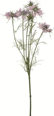 Produktbild von Gilde FINK, Kunstblume, Nigella, Kunststoff, flieder, VE 24 Höhe: 66.00 cm 64004