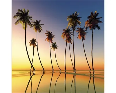 Produktbild von Glasbild Palms On Beach I 30x30 cm
