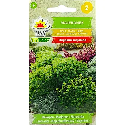 Zdjęcie produktu dla Nasiona ziół Majeranek zioła - Toraf 300