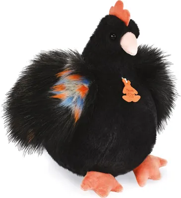Productafbeelding van Doudou, verhalenboek over beren, pluchen kip, zwart, 28 cm