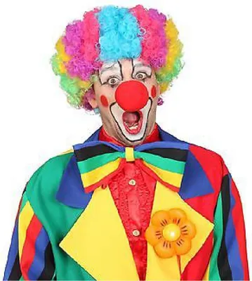 Produktbild von O30048-47 bunt Damen Herren Clownperücke Spaßmacher