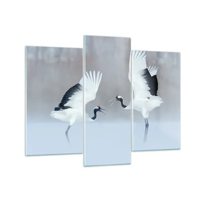 Produktbild von Bilder auf glas - 3 Teile - Kraniche kämpfen tanzen - 130x100cm - Glasbilder - Wandbilder - Bilder - zum Aufhängen bereit - Wanddekoration aus Glas - Glas Bilder - Wandbild auf Glas - GCB130x100-4497