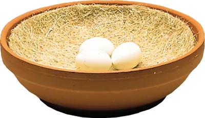 Produktbild von Nobby Natural Nesteinlagen für Tauben