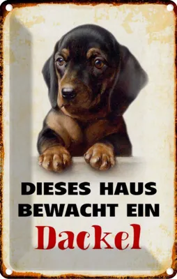 Produktbild von vianmo Blechschild 18x12 cm Hund dieses Haus bewacht ein Dackel Tier Haustier