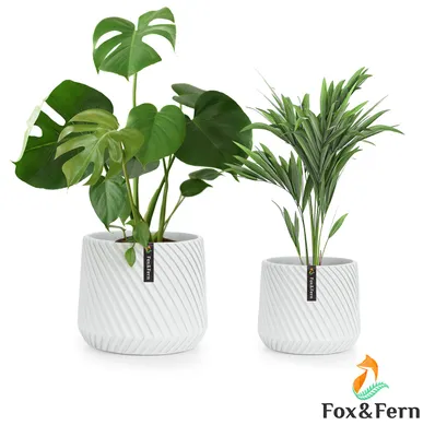 Obrázek produktu pro Fox & Fern Heusden, sada 2 květináčů, polyston, vhodný na rostliny, ruční výroba, 3D vzhled