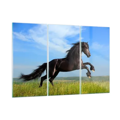 Produktbild von Bilder auf glas - Schwarzes Pferd Pferd Galopp - 165x110cm - Glasbilder - Wandbilder - Kunstdruck - zum Aufhängen bereit - Wanddekoration aus Glas - Glas Bilder - Wandbild auf Glas - GCE165x110-0495