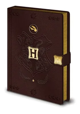 Produktbild von Harry Potter Quidditch Notizbuch mit 240 linierten Seiten