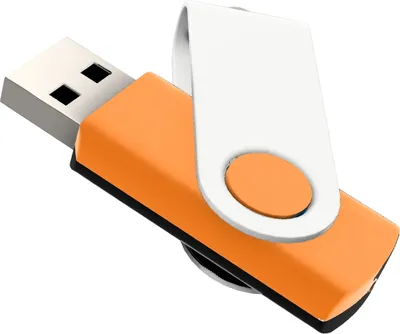 Produktbild von Zwei Farben USB Stick Swivel 2GB