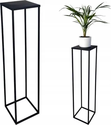 Two black metal plant stands on a white background. One stand is taller and empty, the other is shorter and holds a potted plant.