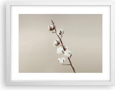 Produktbild von Gerahmtes Poster - Weißer Rahmen - Baumwolle Zweig Boho - 40x30 cm - Wand Bild - Wanddeko - Wandbilder - Kunstposter - Wandposter - Bilderrahmen - Bilder - Kunstdruck - P2WAA40x30-4730