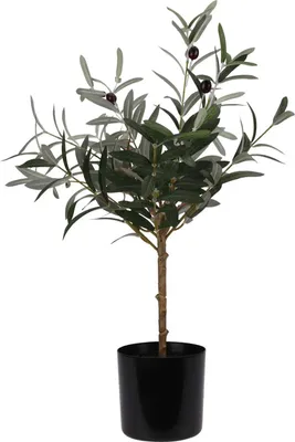 Zdjęcie produktu dla Sztuczna roślina drzewko oliwne, 66 cm