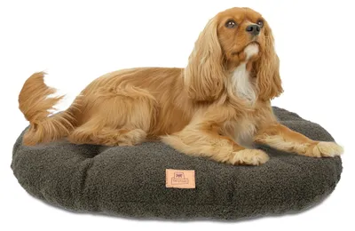 Produktbild von Ferplast Hundebettkissen für mittelgroße Hunde, Katzenbett, waschbarer synthetis