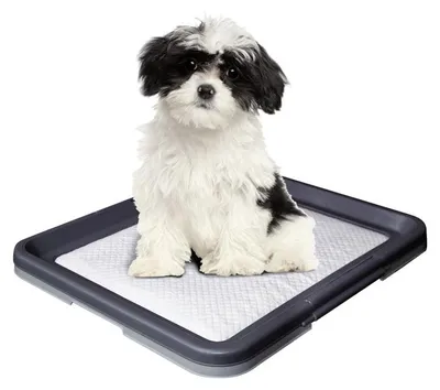 Image de Nobby Doggy Trainer Pads 24 pcs., S - 48 x 41 cm