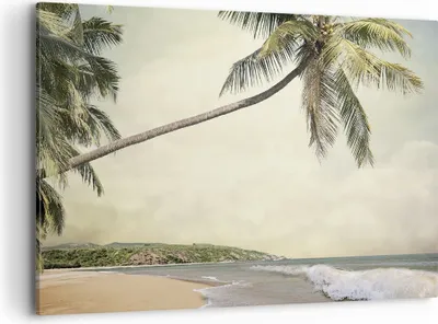 Produktbild von Bild auf Leinwand - Leinwandbild - Einteilig - Palme Strand Insel - 120x80cm - Wand Bild - Wanddeko - Wandbilder - Leinwanddruck - Bilder - Wanddekoration - Leinwand bilder - Wandbild - AA120x80-4154