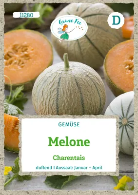 Produktbild von Grüne Fee - Melone Charentais Samen - 11280