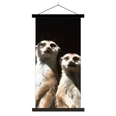Produktbild von MuchoWow® Textilposter Schwarz - Erdmännchen - Tiere 90x180 cm mit schwarzem Rahmen - Dekoration Wohnzimmer