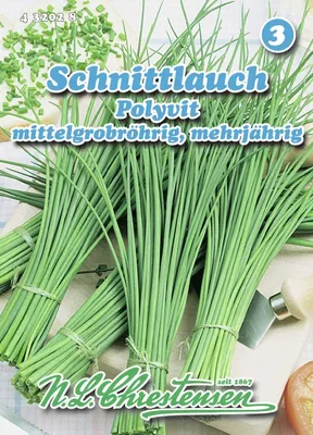 Produktbild von Schnittlauch Polyvit | Schnittlauchsamen von N.L. Chrestensen