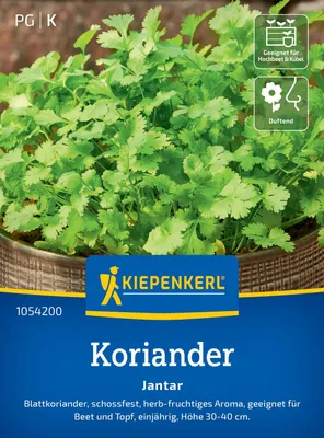 Produktbild von Kiepenkerl Koriandersamen Jantar Coriandrum sativum 250 Pflanzen