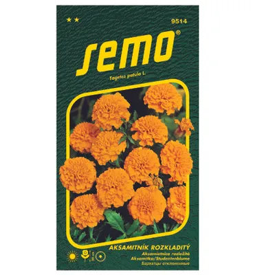 Produktbild von Samen - STUDENTENBLUME orange