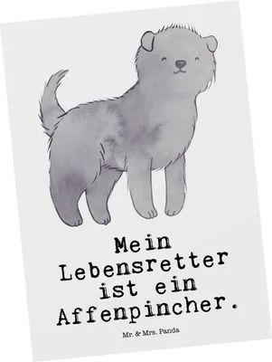 Produktbild von Mr. & Mrs. Panda Ansichtskarte Affenpincher Lebensretter - Weiß - Geschenk, Kunstkarten, Ansichtskarten, Grußkarte, bildkarte, Postkarte, Postkarten