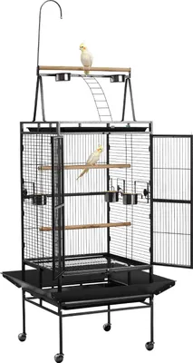 A black metal bird cage with two birds inside, shown on a white background.