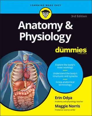 Obrázek produktu pro Anatomy & Physiology For Dummies