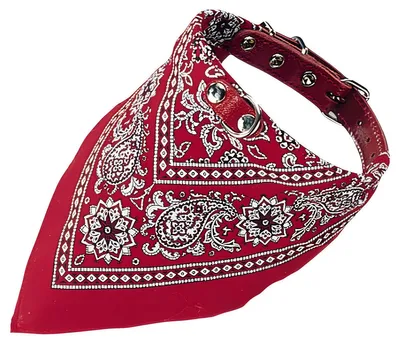 Produktbild von Nobby Halsband mit Tuch rot mit Motiv, Länge: 65 cm