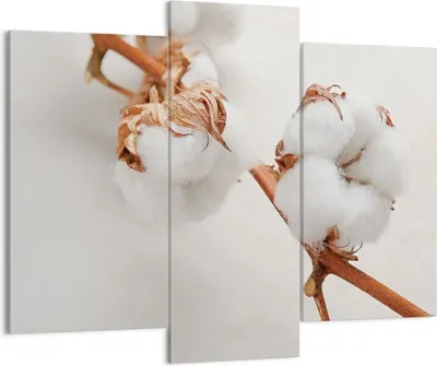 Produktbild von Bild auf Leinwand - Leinwandbild - 3 Teile - Baumwolle Makro Zweig - 130x100cm - Wand Bild - Wanddeko - Wandbilder - Leinwanddruck - Bilder - Wanddekoration - Leinwand bilder - CB130x100-4835
