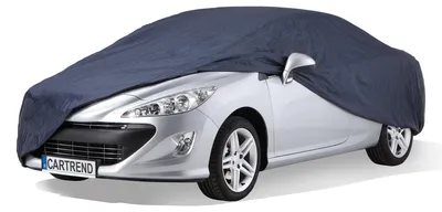Produktbild von CARTREND Vollgarage XL (522x209x148cm) blau