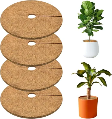 Imagen del producto de Discos de fibra de coco, 4 unidades, diámetro 30 cm, protección contra heladas para plantas en macetas